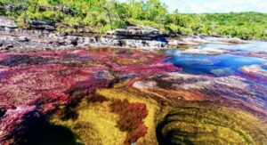 Foto Nat Geo. Caño Cristales River (La Macarena Meta Región)